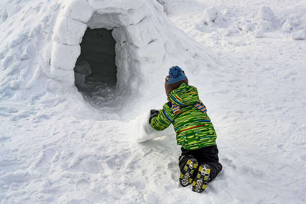 Москвичи решили построить иглу
