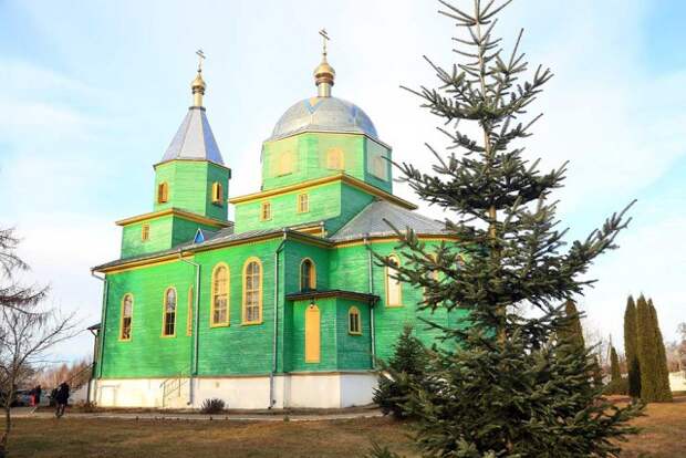 Диаконская хиротония в храме Святой Живоначальной Троицы д. Турки.