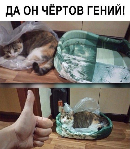 1574951491_kartinki-14.jpg