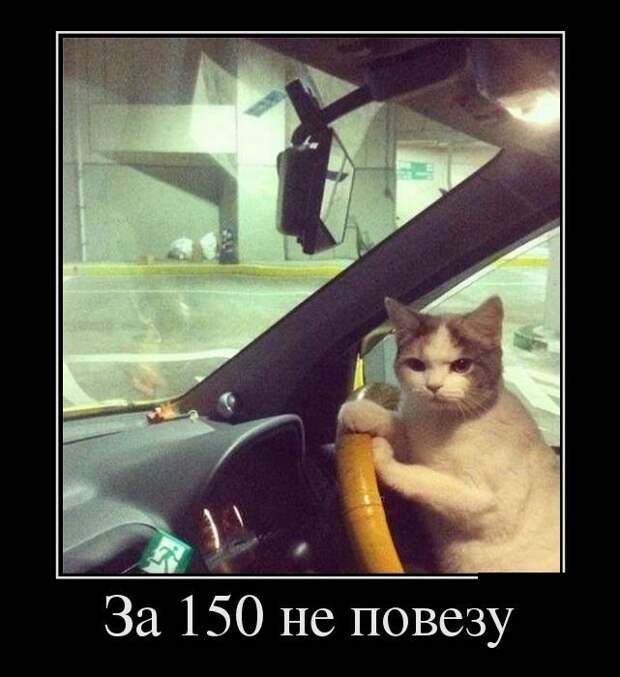 Демотиваторы (30 фото) Демотиваторы (30 фото)