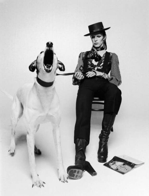 Дэвид Боуи в комбинезоне, шляпе и сапогах на высоком каблуке позирует для обложки 8-го студийного альбома «Diamond Dogs».