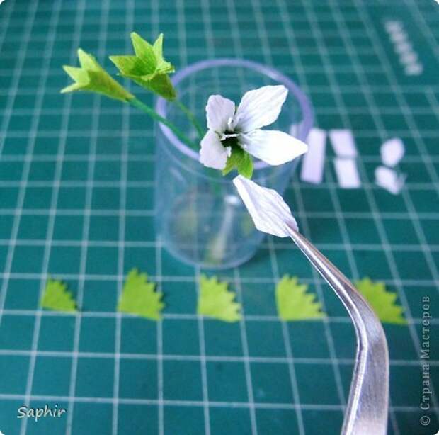 Мастер-класс Бумагопластика Маленькие цветочки из бумаги Кристал  Бумага гофрированная фото 9