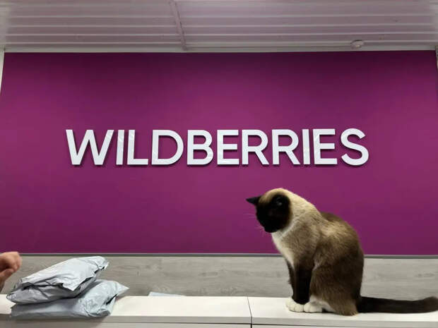 Не заказывайте это на маркетплейсах с апреля: новые запреты Wildberries, Ozon и AliExpress