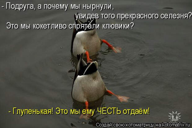 1005250 (639x426, 131Kb)