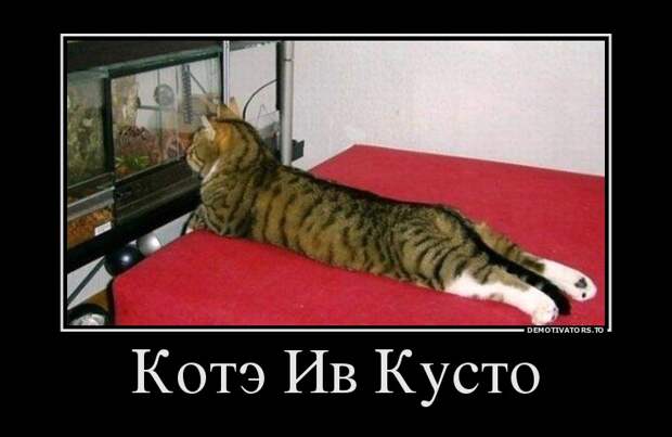Демотиваторы бревно, демотиваторы, юмор