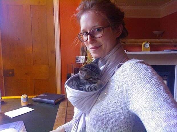 petsneedattention18 Смешные животные, которым нужно внимание хозяина прямо сейчас