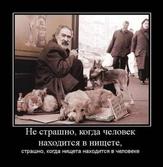 Подборка смешных позитивных демотиваторов