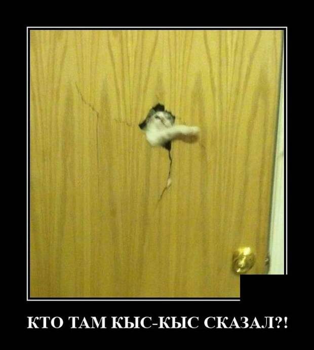 demotivatory-demotivator-smeshnye-demotivatory-demotivator-so-smyslom