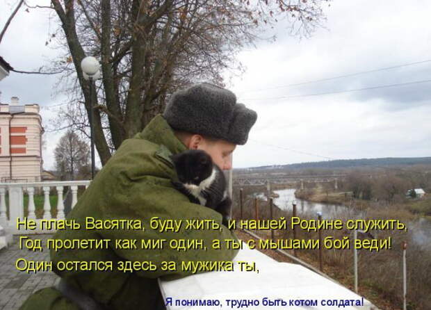 Лучшие котоматрицы недели (50 фото) Лучшие котоматрицы недели (50 фото)