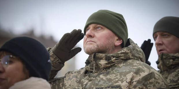 Главнокомандующий Вооруженными силами Украины Валерий Залужный Главнокомандующий Вооруженными силами Украины Валерий Залужный - ИноСМИ, 1920, 14.02.2024