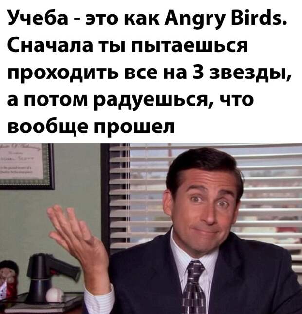 Смешные картинки 24 декабря 2021 года