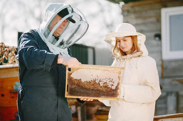 Эксперт Березнюк рассказал, можно ли организовать пасеку на даче