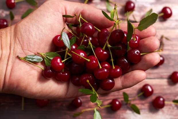 Раскрыта новая польза привычной ягоды для жирового обмена в печени