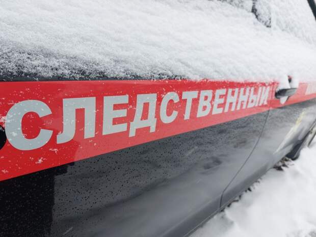 Глава СК взял на контроль дело с падением ворот на ребенка в Тульской области