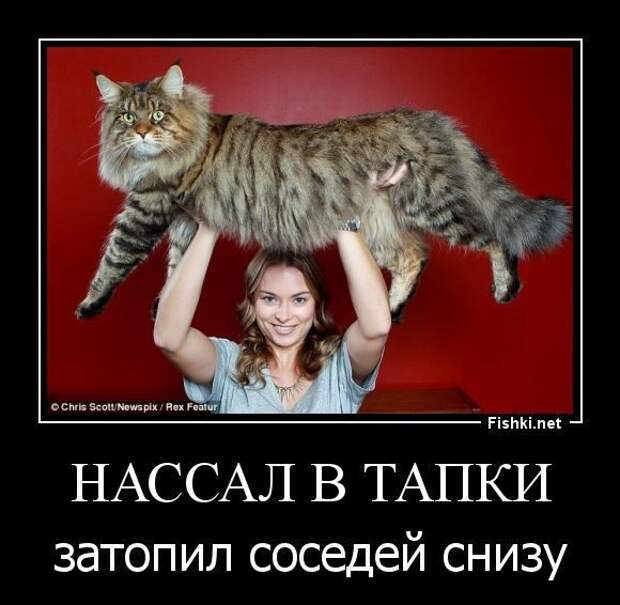 Демотиваторы...