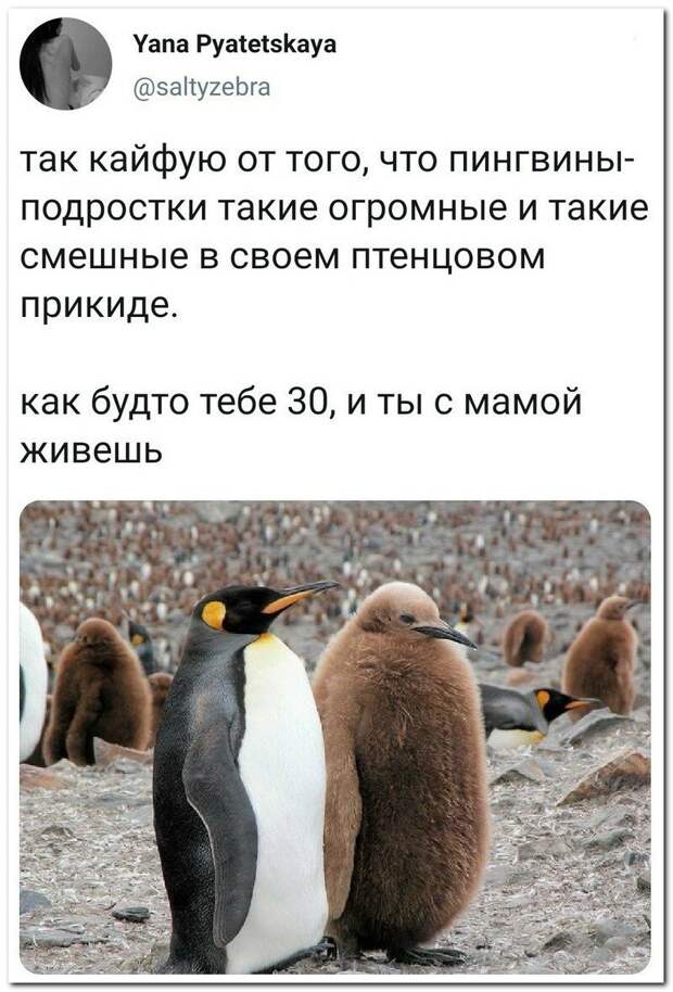 13972026.jpg
