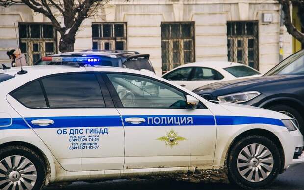 Рязанская Госавтоинспекция оштрафовала более 10 пешеходов