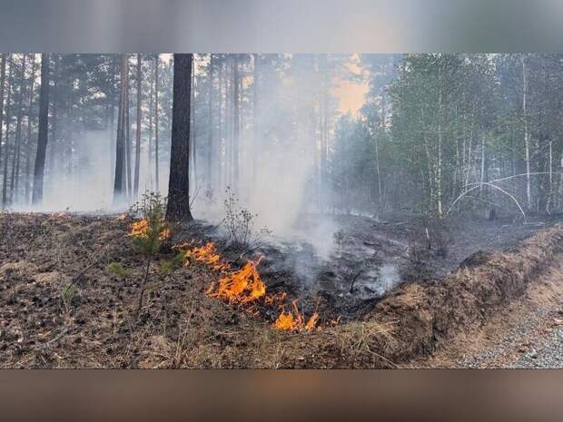 В 11 округах Забайкалья сохраняется высокая пожарная опасность