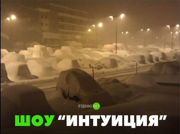 Шоу "Интуиция" Шоу "Интуиция" авто, автомобили, автоприкол, автоприколы, подборка, прикол, приколы, юмор