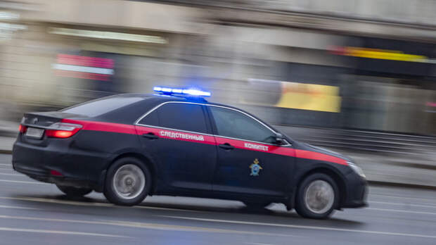 Дело Янины Соколовской. Украинка получила в России золотой парашют?