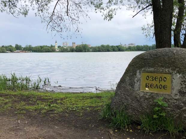 Берега Белого озера очистят. Фото предоставлено пресс-служба префектуры ВАО