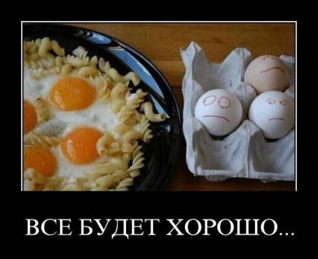 Демотиваторы " 101 %" 20/04/12