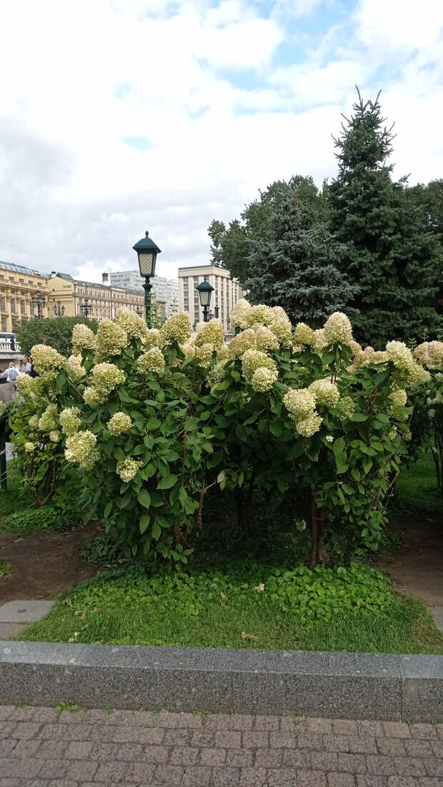 Прогулка по Александровскому саду.