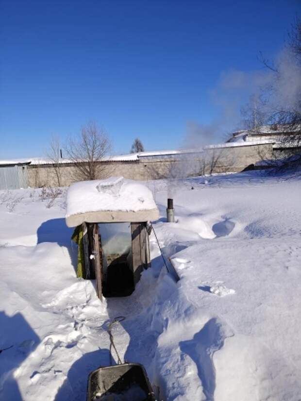 В Томской области женщина пряталась от приставов в землянке и-за штрафа