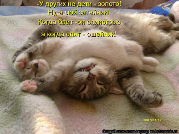Котоматрицы(картинки с надписями)