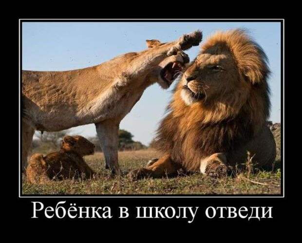 Веселые демотиваторы для веселья и улыбок (11 фото) Веселые демотиваторы для веселья и улыбок (11 фото)