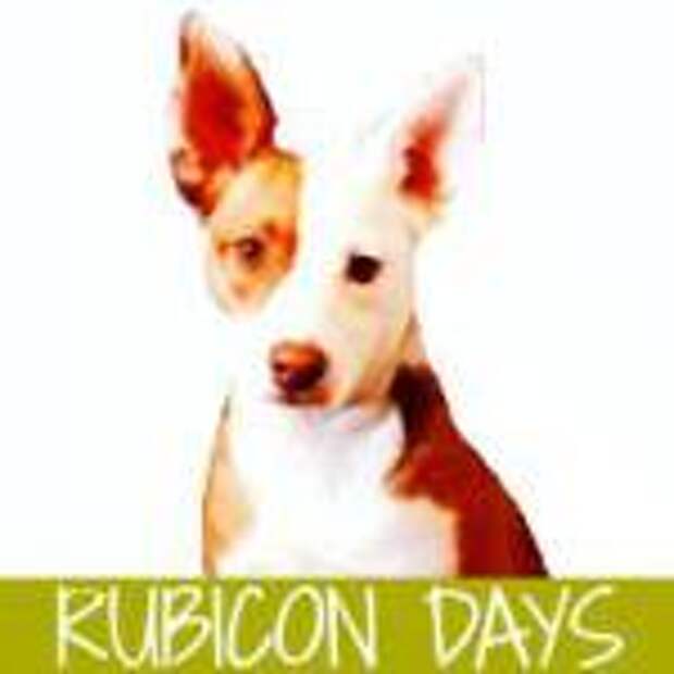 rubicondays
