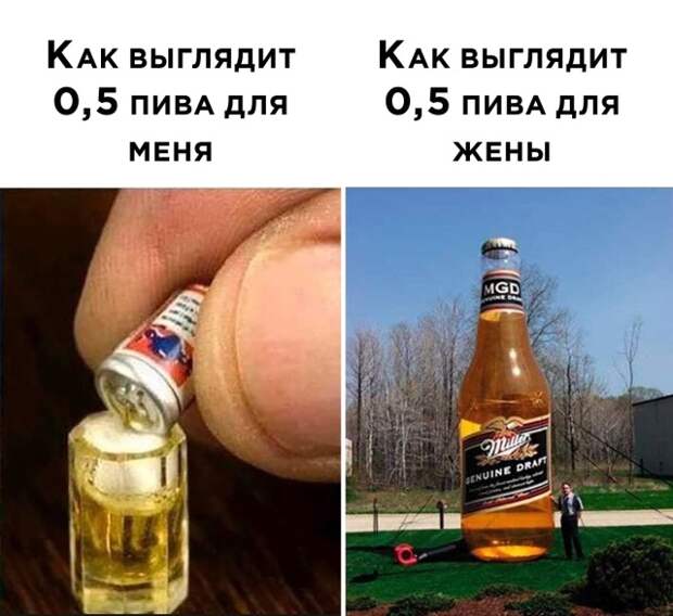 Смешные фото 6 августа 2020