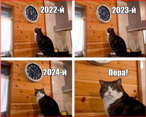 Снимок экрана 2024-07-31 161343.png Снимок экрана 2024-07-31 161343.png