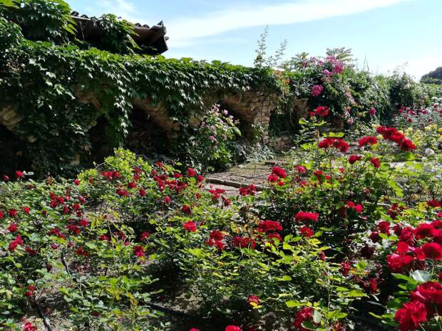 Фото: Анна Попкова