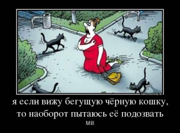 Демотиваторы, наши прикольные цитаты.
