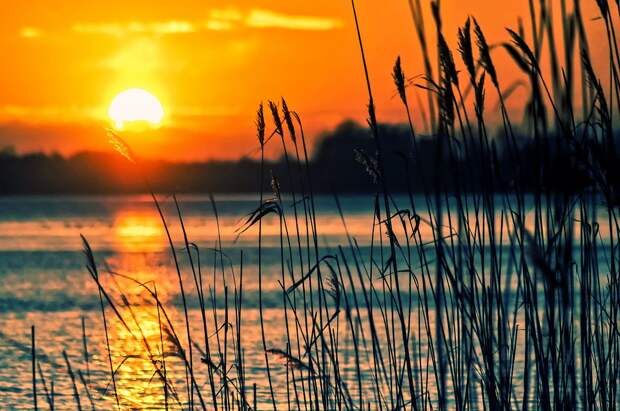 Водоёмы СЗАО готовятся к пляжному сезону. Фото: pixabay.com
