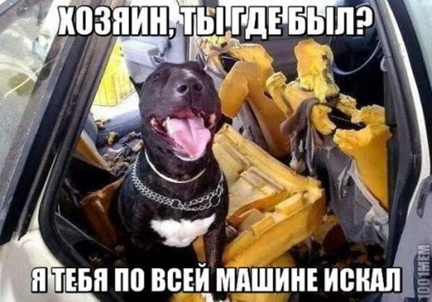 АВТОприкольные картинки (27 шт)
