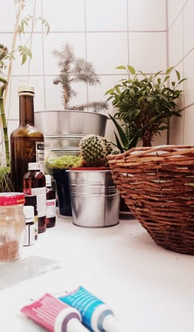 33 варианта использования старых вёдер или ванн для дома и сада 33 варианта использования старых вёдер или ванн для дома и сада