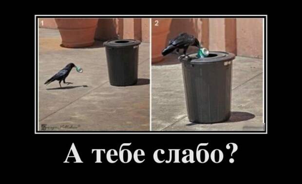 Демотиваторы (30 фото)