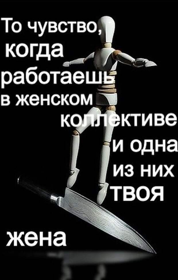 Картинки со смешными подписями