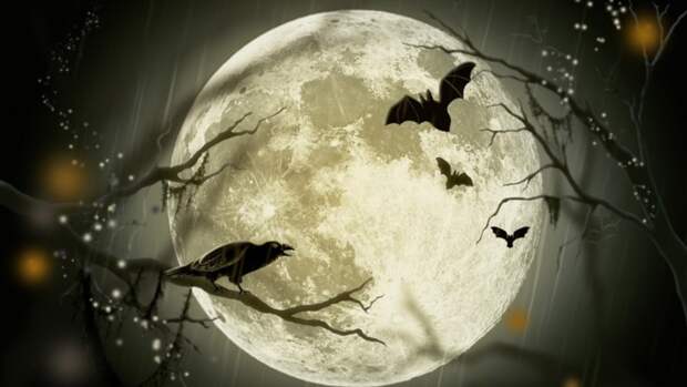 Хеллоуин / Фото: pixabay.com