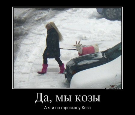8 июня - День Козла, но празднуем с пятницы!