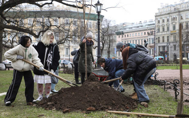 В Петербурге ремонтируют дома и высаживают деревья