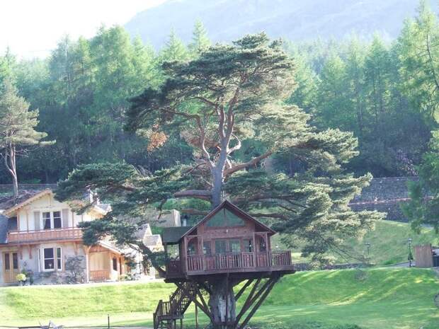 Домики на дереве со всех уголков планеты город, деревья, дом на стволе дерева, дома на дереве, эстетика