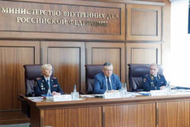 Игорь Зубов принял участие в заседании Научного совета МВД России