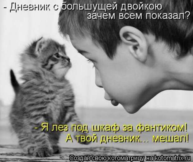 Котоматрицы(картинки с надписями)