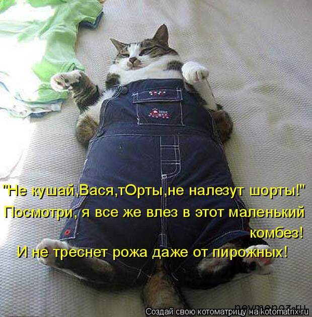 Новые котоматрицы с классным задором (30 фото) Новые котоматрицы с классным задором (30 фото)