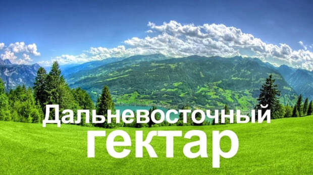Сенаторы предлагают запретить передавать «дальневосточный гектар» иностранцам Сенаторы предлагают запретить передавать «дальневосточный гектар» иностранцам