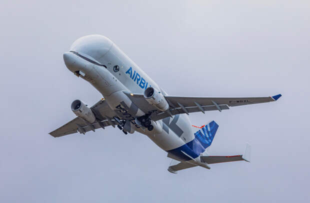 Самый большой грузовой самолет Airbus: Airbus BelugaXL