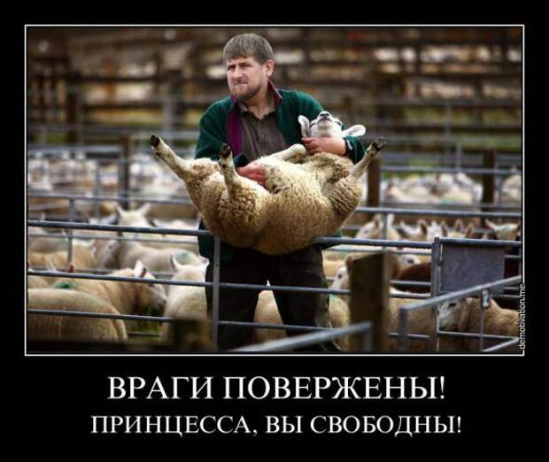 Немного новых демотиваторов
